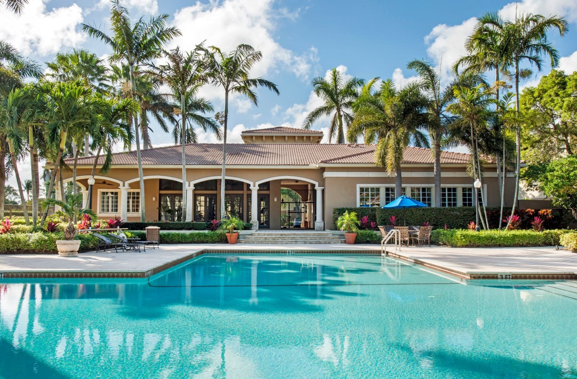 South Florida luxury home with pool and tropical landscaping